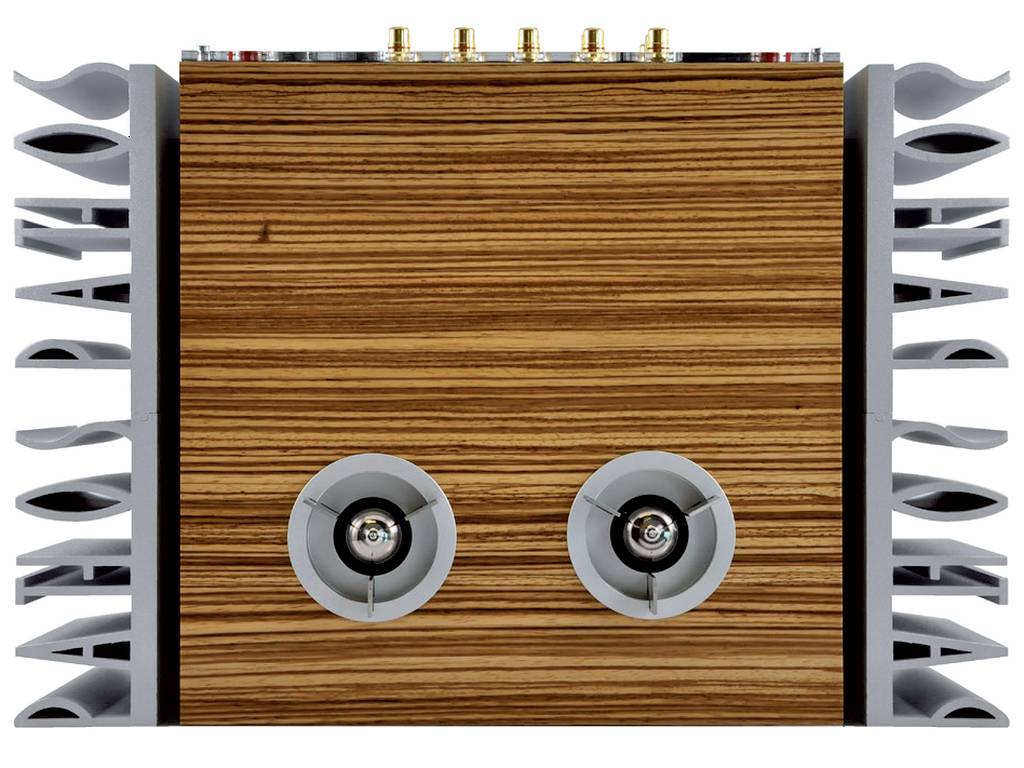 Pathos InPol Ear