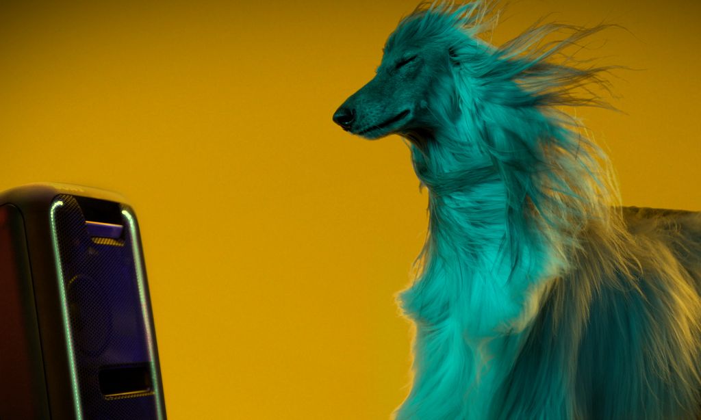 Psy wolą Beyoncé od Beethovena