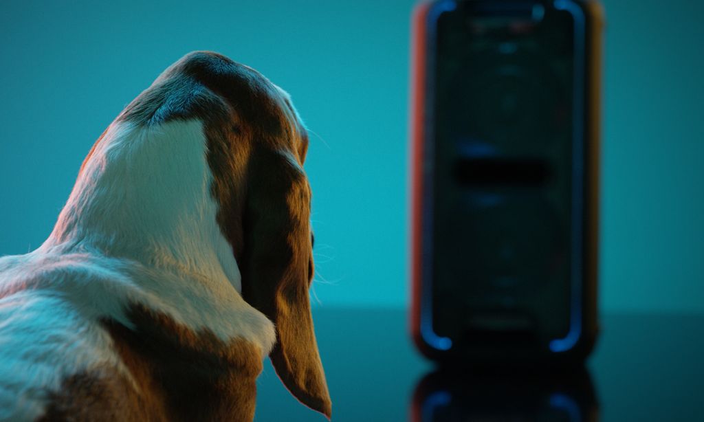 Psy wolą Beyoncé od Beethovena