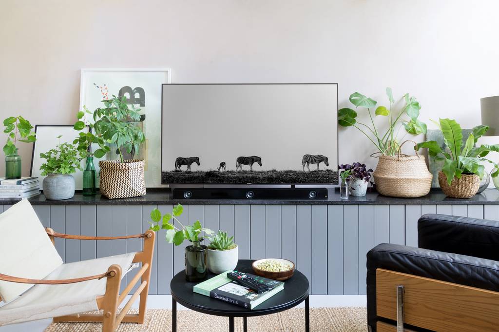Sony HT-ZF9