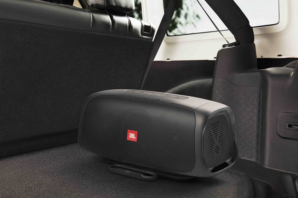 JBL BassPro Go