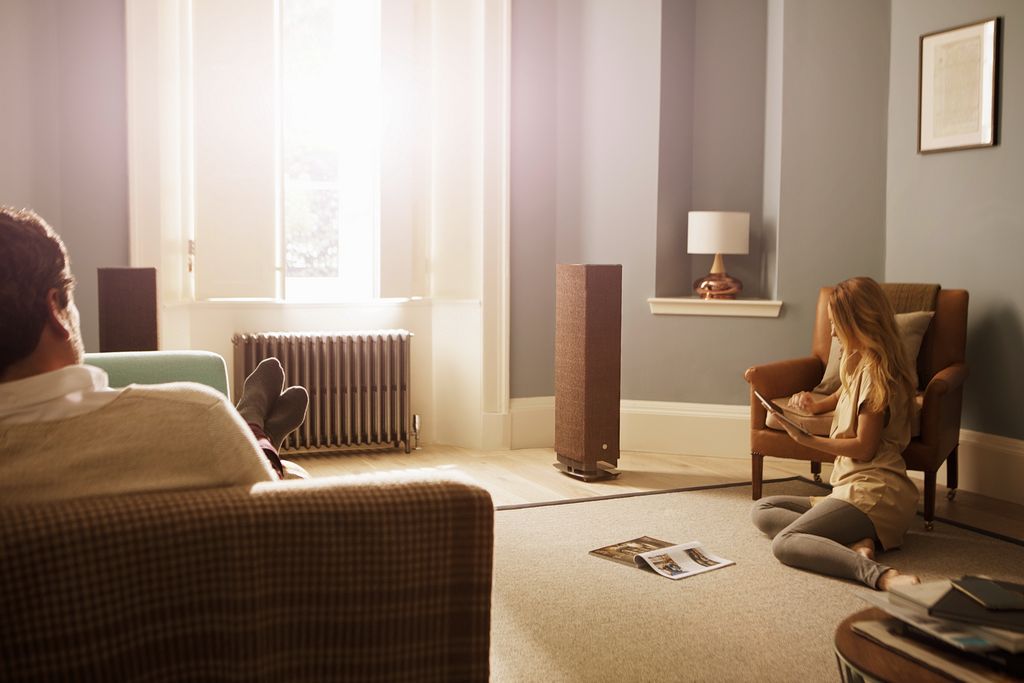 Linn 530
