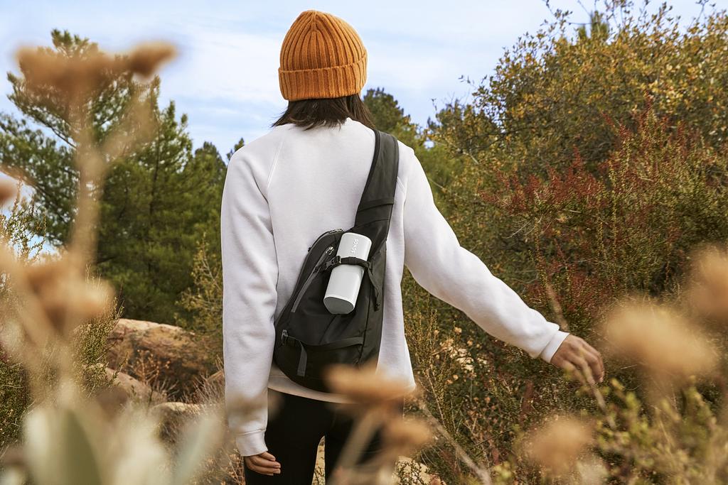 Sonos Roam
