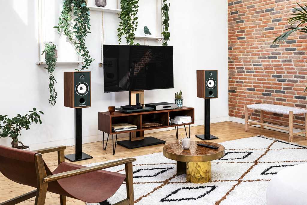 Monitory nowej generacji - Triangle Borea BR04