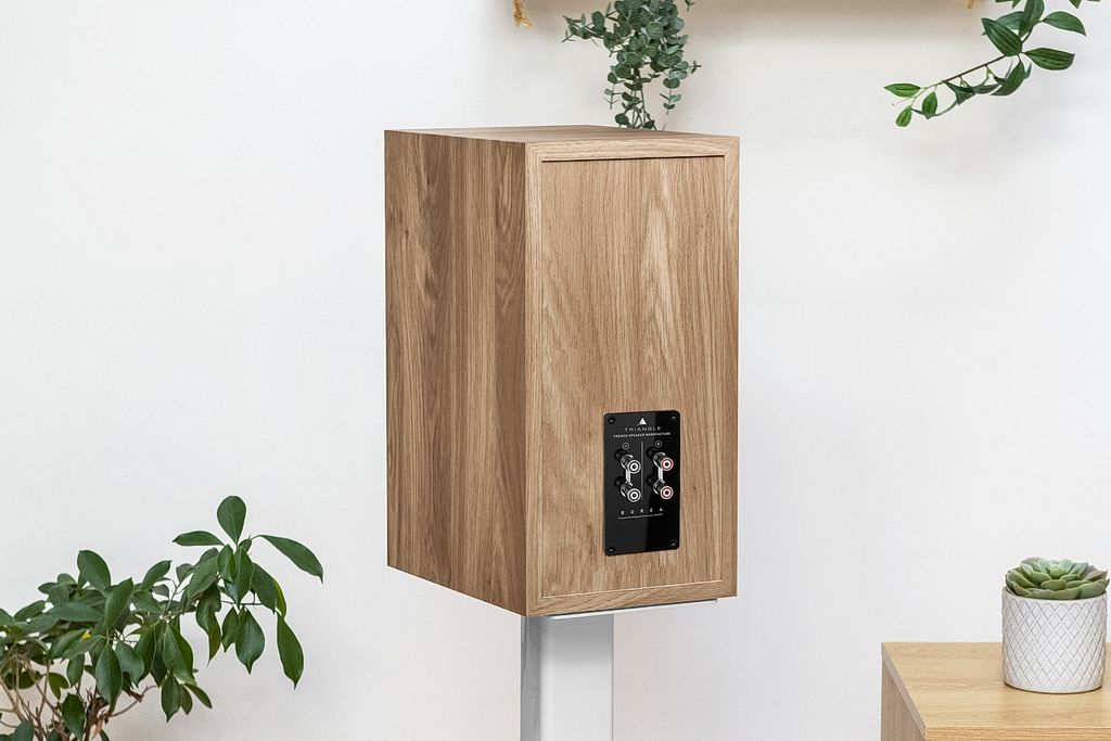 Monitory nowej generacji - Triangle Borea BR04