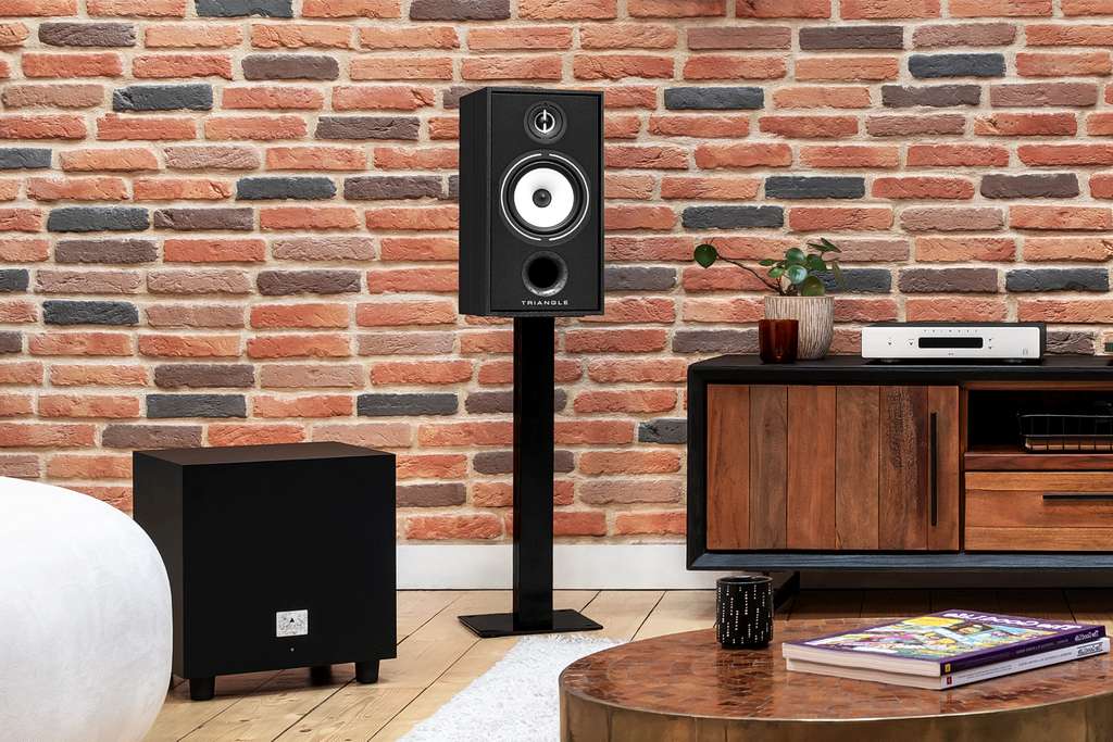 Monitory nowej generacji - Triangle Borea BR04