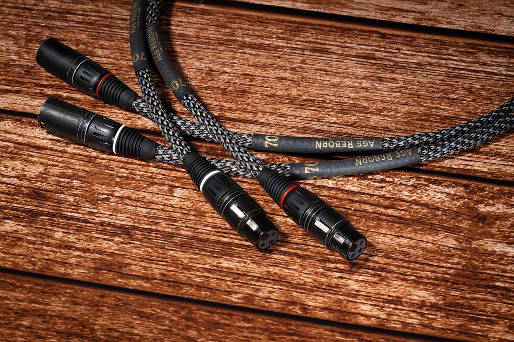 Dni Otwarte Polskiego Audio w Q21