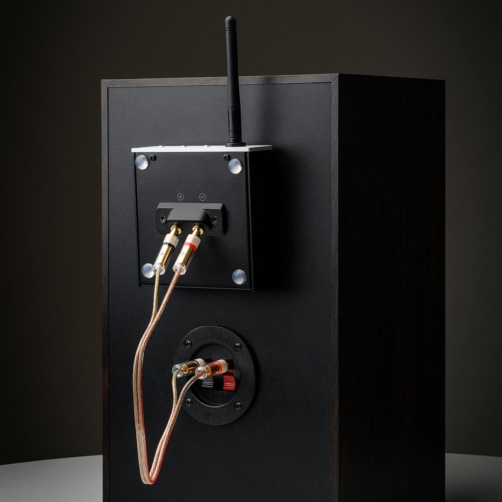 Prosty sposób na "uaktywnienie" kolumn - Pro-Ject Wireless Box E