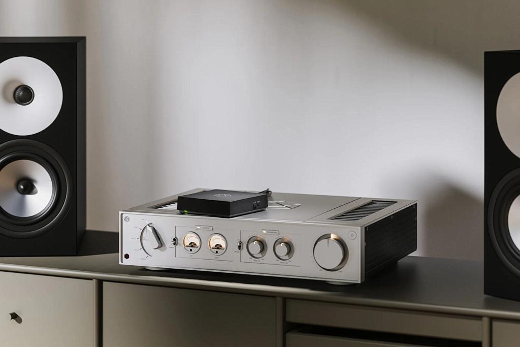 Moduł sieciowy lub samodzielny streamer - Rose RW800