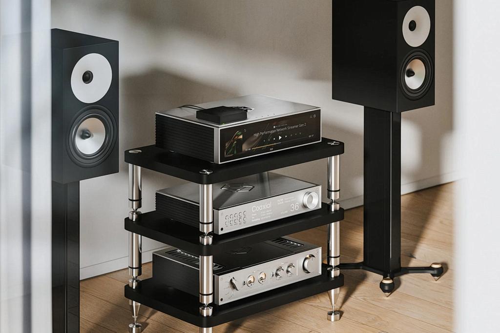 Moduł sieciowy lub samodzielny streamer - Rose RW800