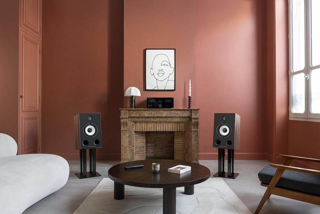 Duże monitory w stylu retro - Triangle Borea BR05
