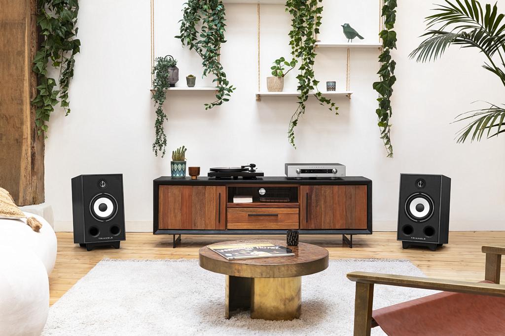 Duże monitory w stylu retro - Triangle Borea BR05