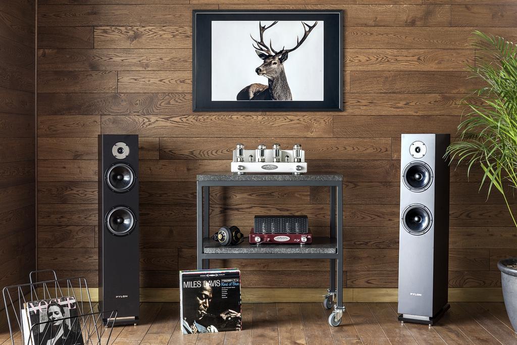 Od toroidów do wzmacniaczy marzeń - Fezz Audio