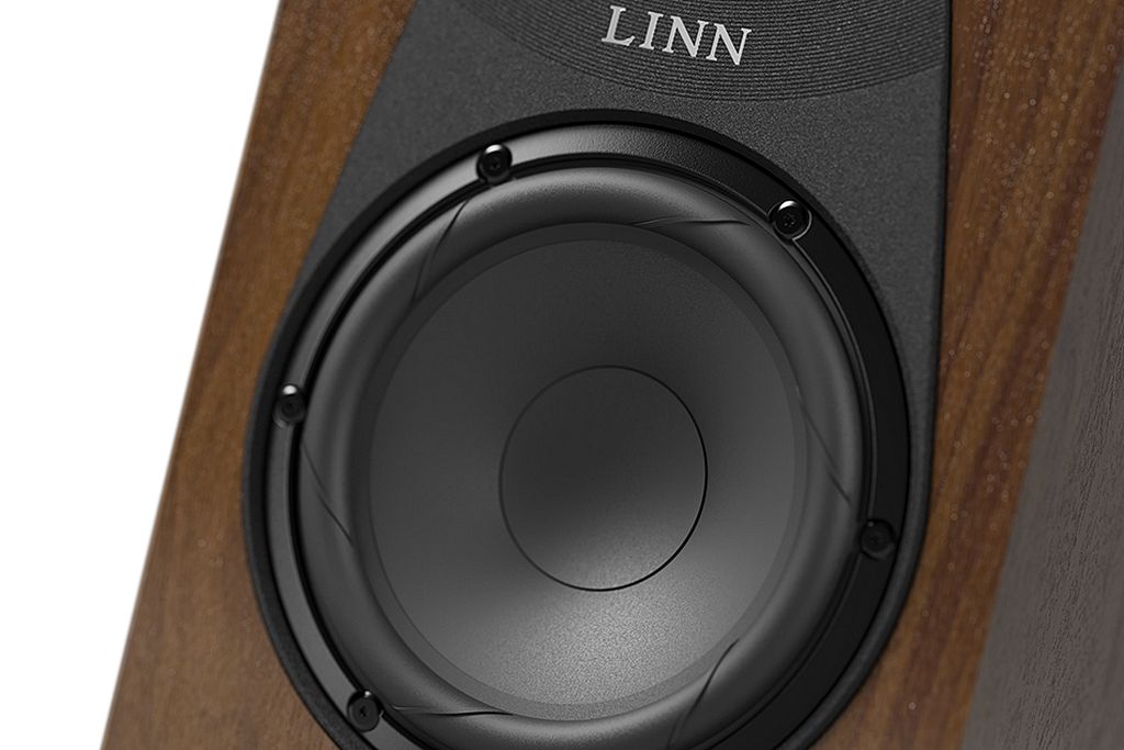 Linn 119
