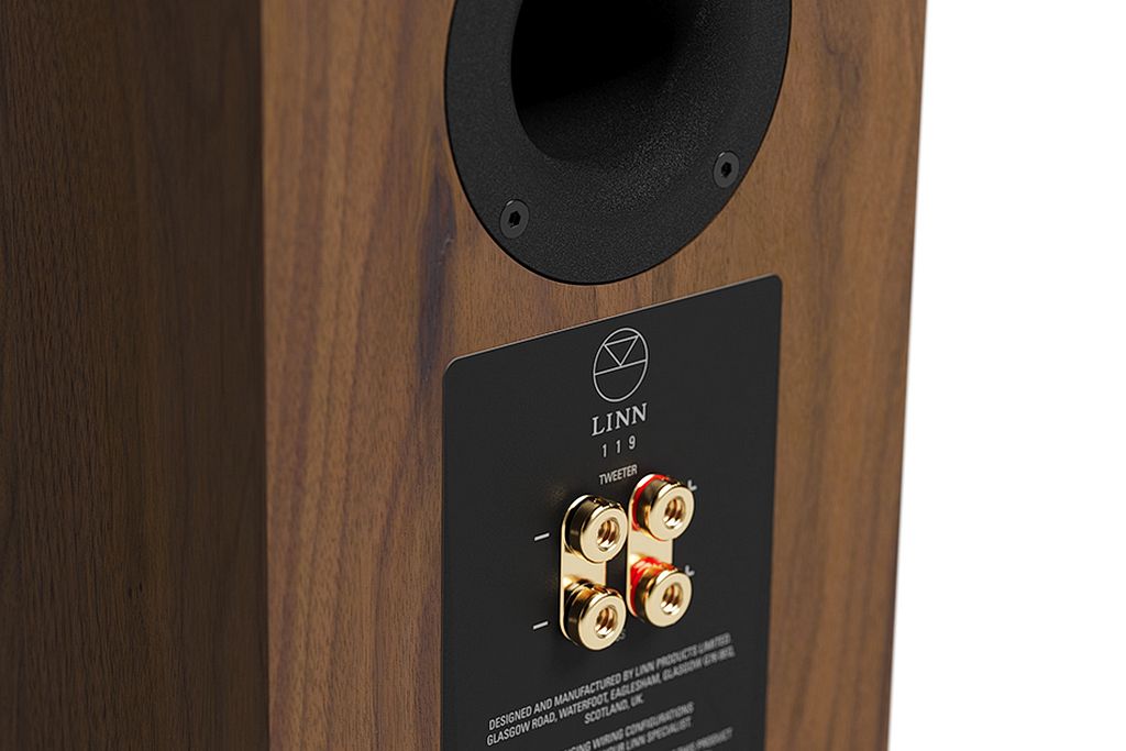 Linn 119