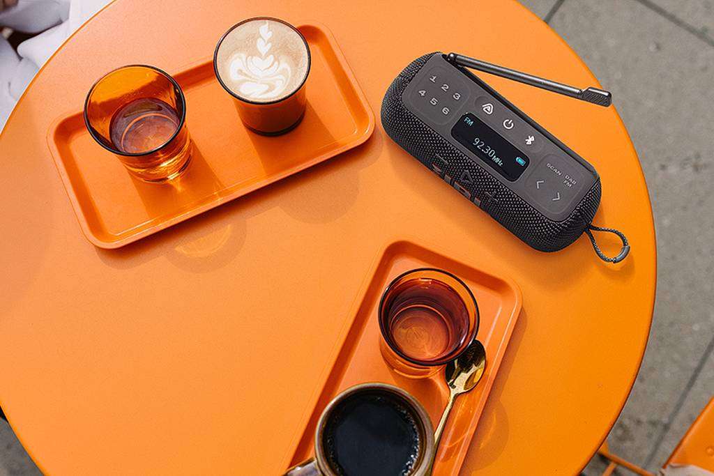 Przenośne radio z Bluetooth i DAB+ - JBL Tuner 3