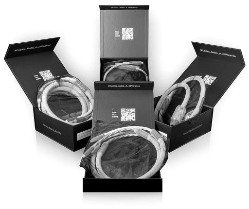 Audiomica Laboratory Consequence